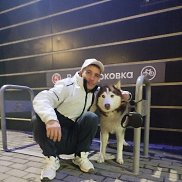 �����, 40 ���, ��������