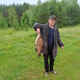 ������, 49 ���, ������