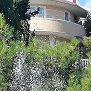 ������, 41 ���, ������