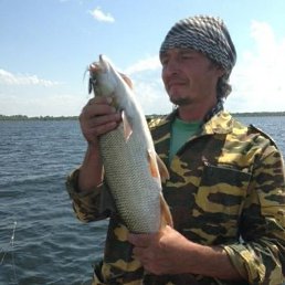 �����, 53 ����, �������