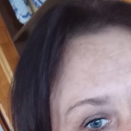 ����, ��������