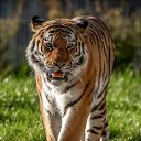���� �������, �������, 41 ��� - ��������� 1 ������� 2023 � ������ ���� ����������