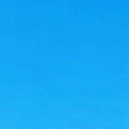 �������, �����, 44 ����