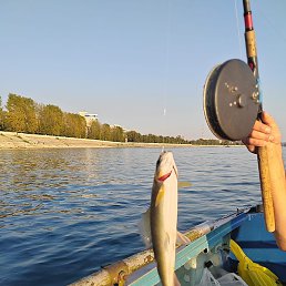 ������, �������