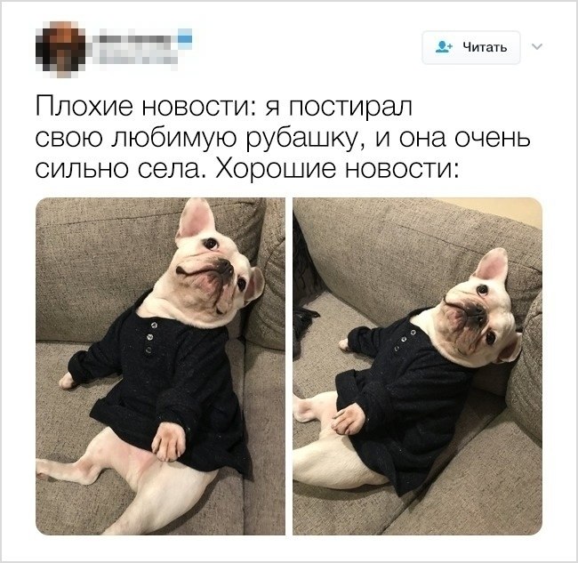 ��� ����