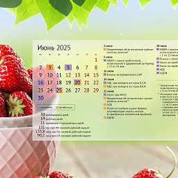 �����, ���������, 58 ���