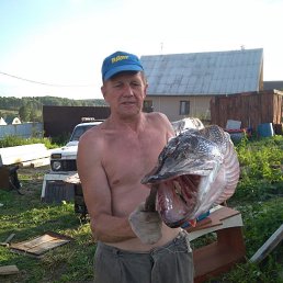 ���� ������� �����, ��������, 66 ��� - ��������� 18 ������ 2026