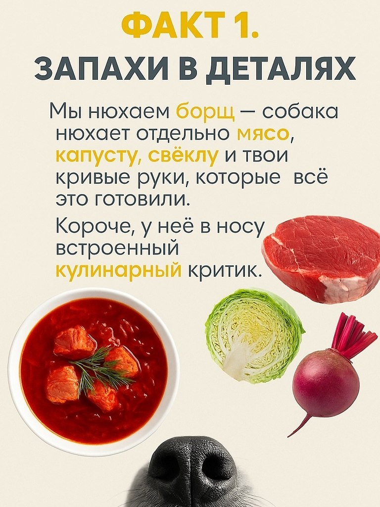       , Google       .    ... - 2