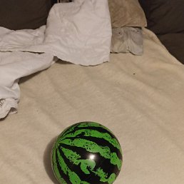 �����, �����, 29 ���