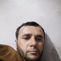 , 33, 