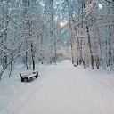 ���� �����, ����� - ��������� 4 ������ 2025 � ������ ���� ����������