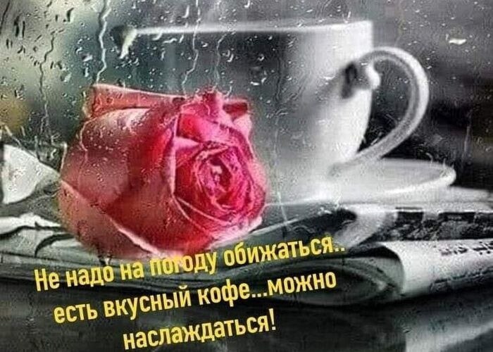  .    ,  ,     ,  : ...