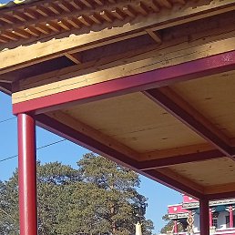 ��������, �����������, 55 ���