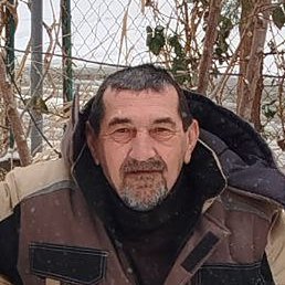 ���������, ������, 65 ���