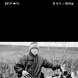 ����, ������, 41 ���