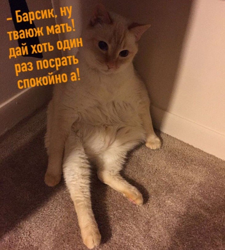        ... - 4