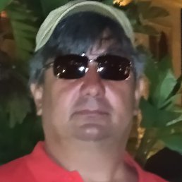 ���, ������, 55 ���