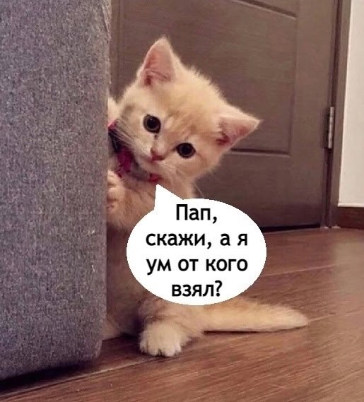 Just Business - 26 августа 2025 в 17:41