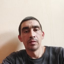 , 37, 