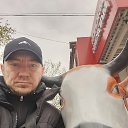 ���� ������ ������, ������, 35 ��� - ��������� 3 ������� 2026 � ������ ���� ����������