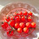 ���� ��������, ������, 59 ��� - ��������� 7 ������� 2024 � ������ ������