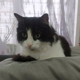 �����, ������-��-����, 44 ����