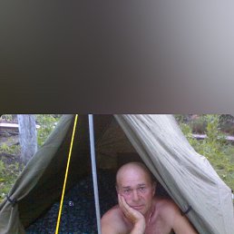 , 61 , 