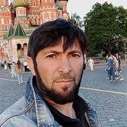 ������, ��������, 41 ���