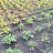 ���� ����, ������������, 47 ��� - ��������� 13 ������� 2025