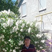Николай, 64 года, Москва Николай, 64 года, Москва