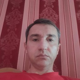 ����, 48 ���, ���������