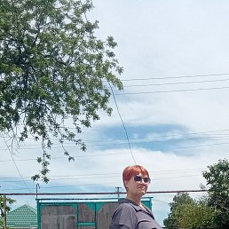 , 55,  