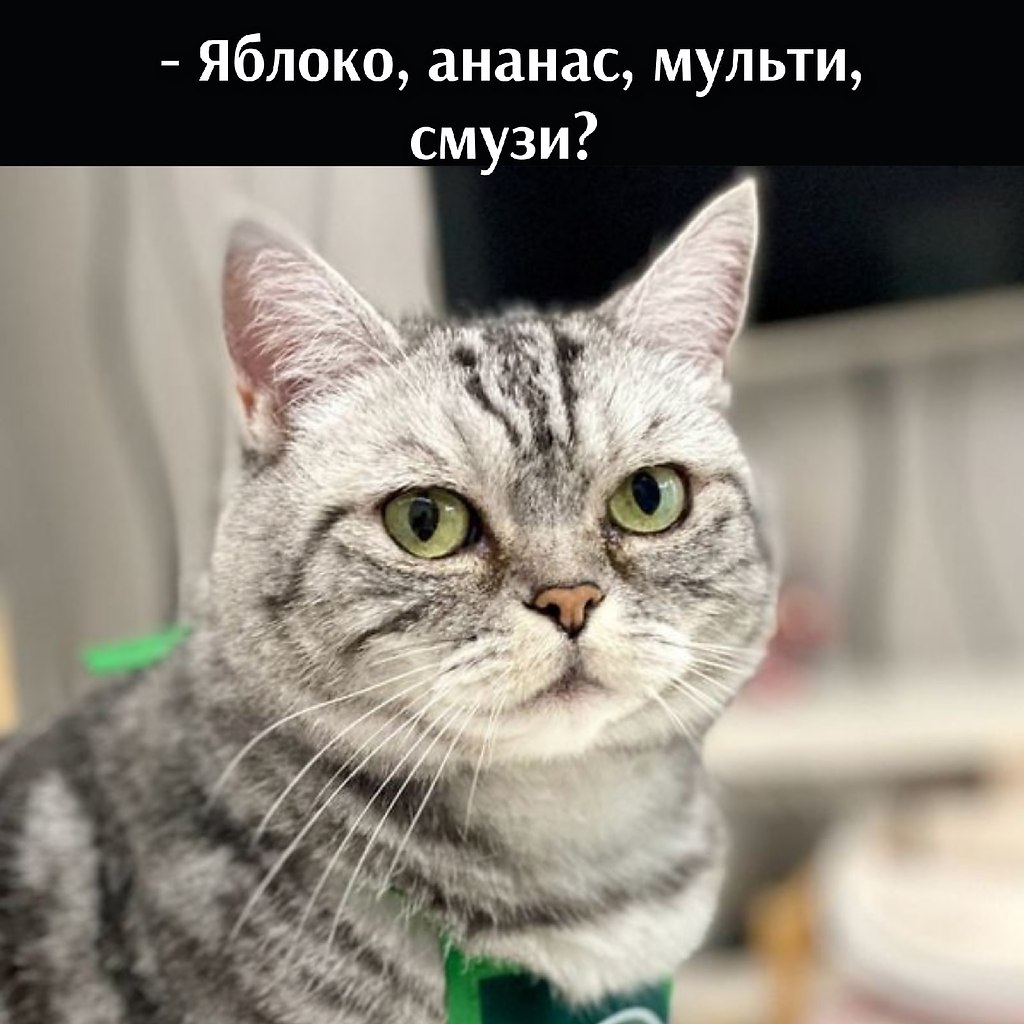 ��� ���� � ����� �� �� - 31 ����� 2026 � 16:30 - 2