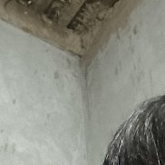 ����, 21 ���, �������