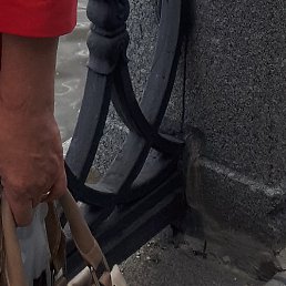 ����������, ������