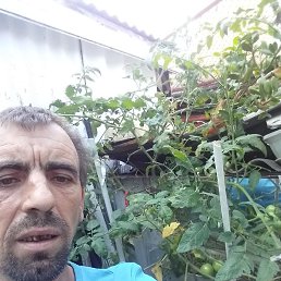 Serj, �������, 45 ���