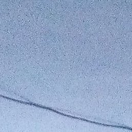 �����, �������, 35 ���