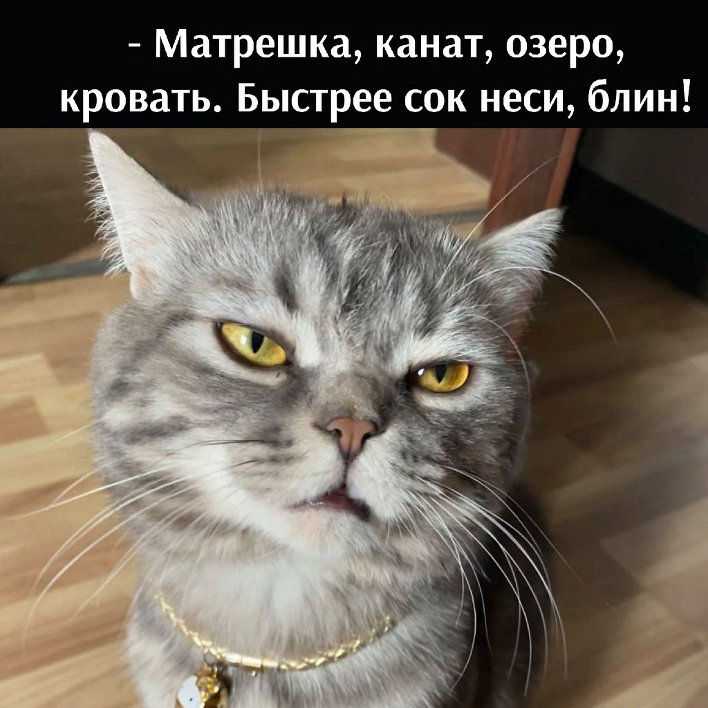 ��� ���� � ����� �� �� - 31 ����� 2026 � 16:30 - 3