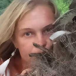 ��������, ���������, 43 ����