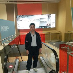 ����, ������, 43 ����