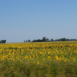 ������ �, �����������