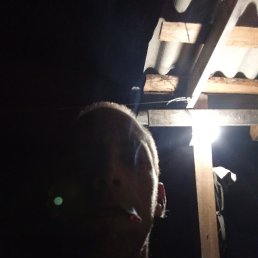 ���� ������ ���������, ������, 42 ���� - ��������� 25 ������� 2025