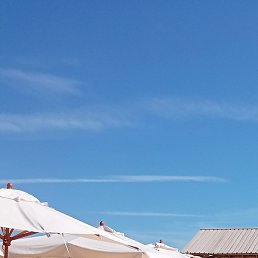 �����, �����, 55 ���