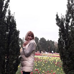 �����, ���������