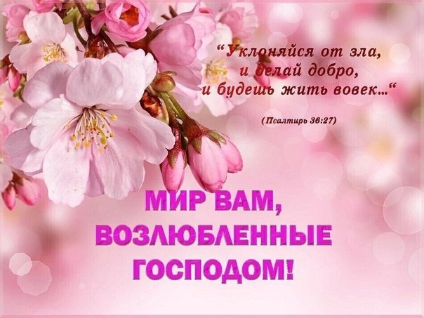 ����� - 7 ������ 2025 � 14:31