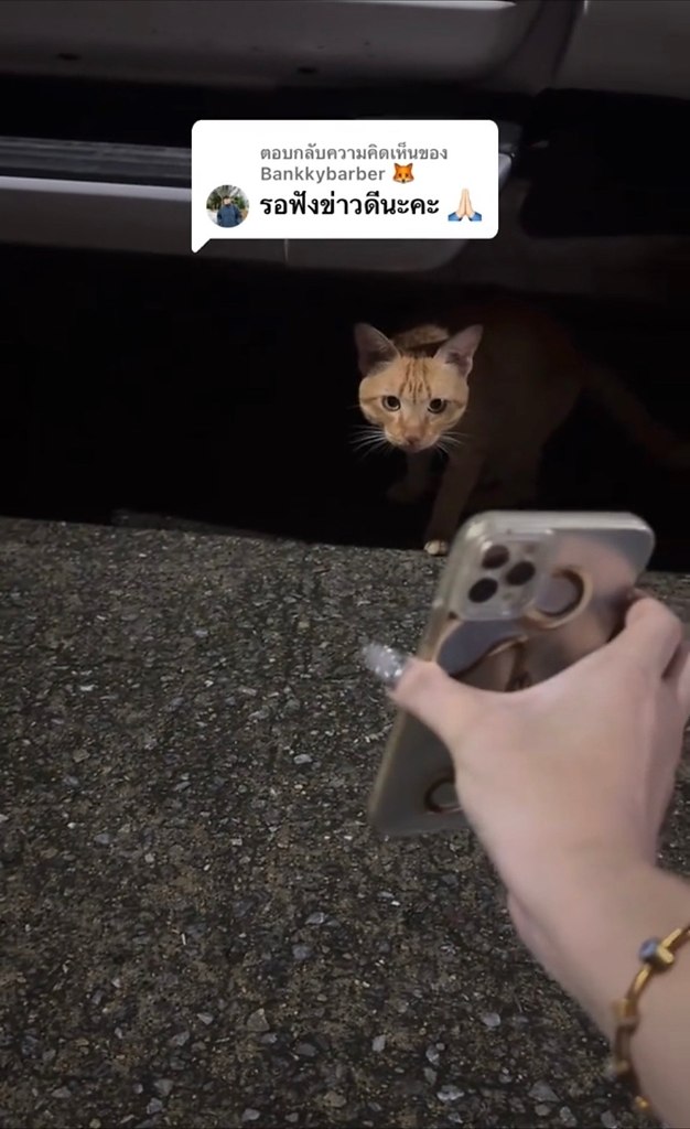 aoe oe eo a  ee:  aae e o p ace  oca poaeo ... - 2