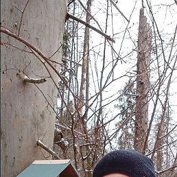 ������, ������, 43 ����