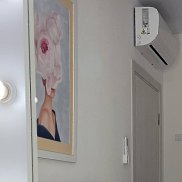 ����, 20 ���, �������