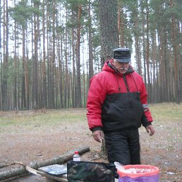 ���������, �����