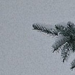 �����, �������, 22 ����